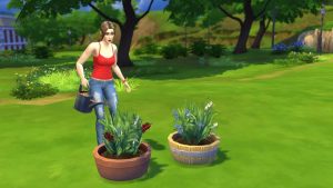 Onde Encontrar Orquídea no The Sims 4